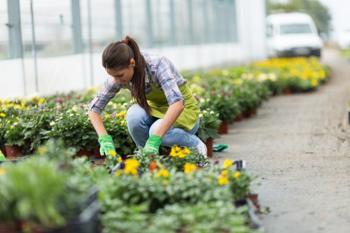 Landscaping Edmonton website cookie policy introduction