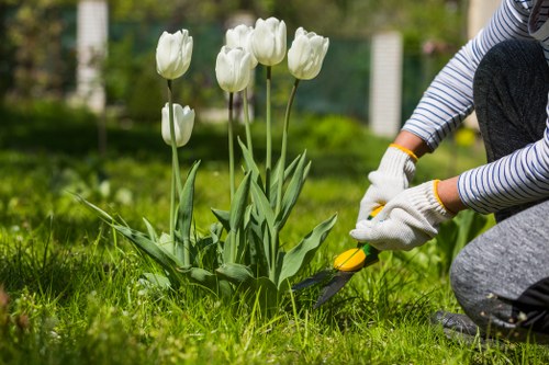 Client reviewing a landscaping complaint process document