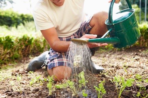 Soft landscaping project with sod and planting beds in an Edmonton residential yard