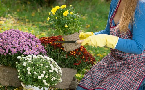Worker using protective equipment during landscaping tasks