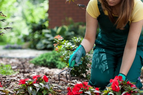 Requesting accessibility support for Edmonton landscaping information