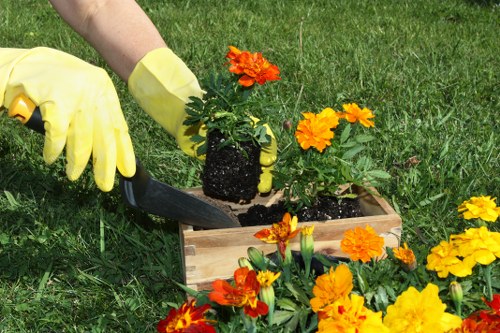 Commercial landscaping in Edmonton with clean pathways and greenery