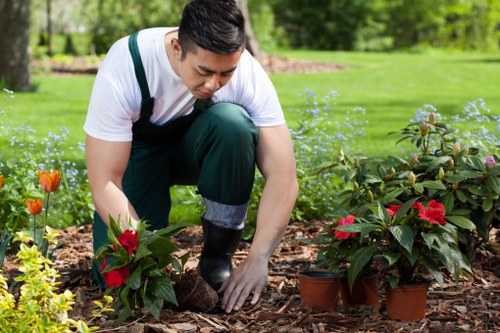 Landscaping issue being documented for review