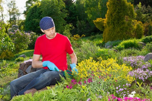 Edmonton property soft landscaping with graded soil and new garden beds