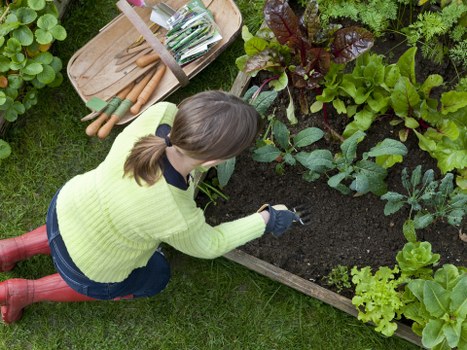 Seasonal garden design and lawn features in a landscaped Edmonton yard
