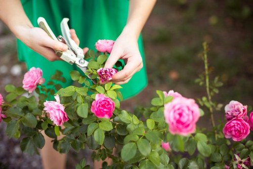 Free quote discussion for landscaping services in Edmonton