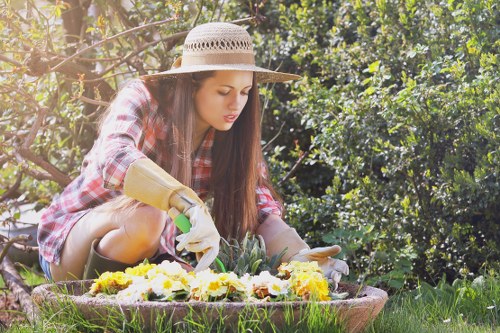 Low-voltage landscape lights installed around garden beds and shrubs