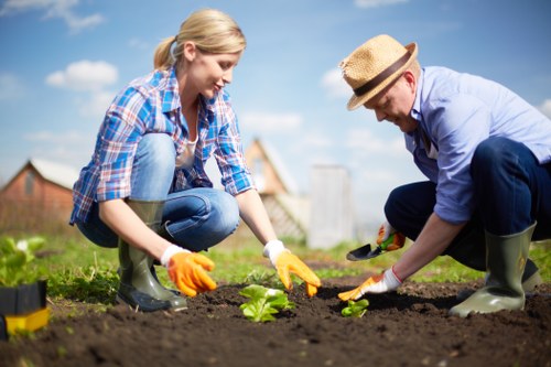 Final review of landscaping service terms and conditions