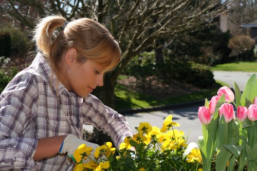 Flexible payment options for Landscaping Edmonton services with strong security